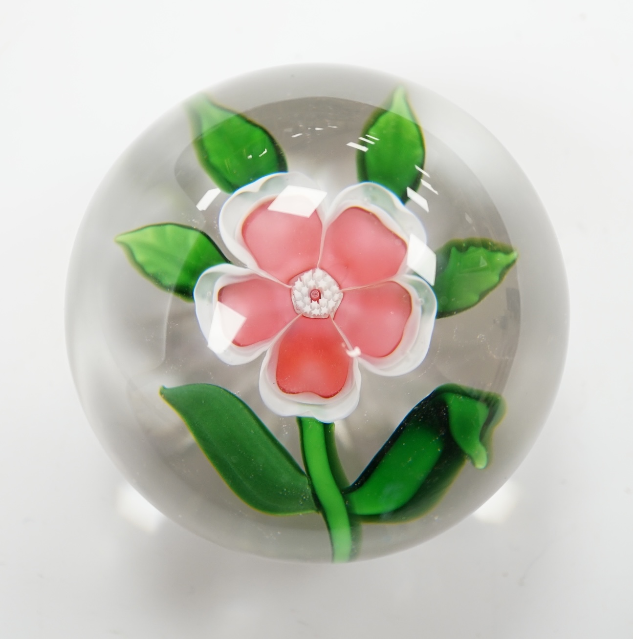 A Baccarat glass dog-rose paperweight, 6cm in diameter